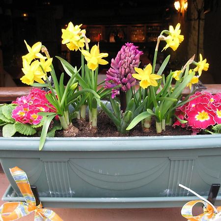 Auberge Des Trois Chateaux Eguisheim Luaran gambar