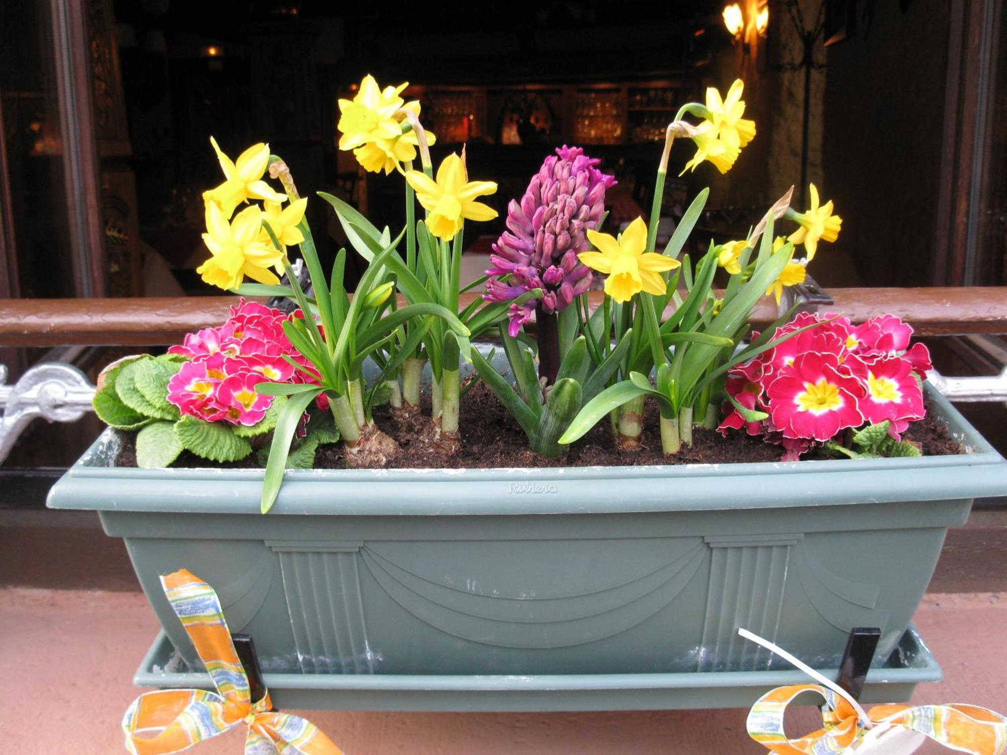 Auberge Des Trois Chateaux Eguisheim Luaran gambar